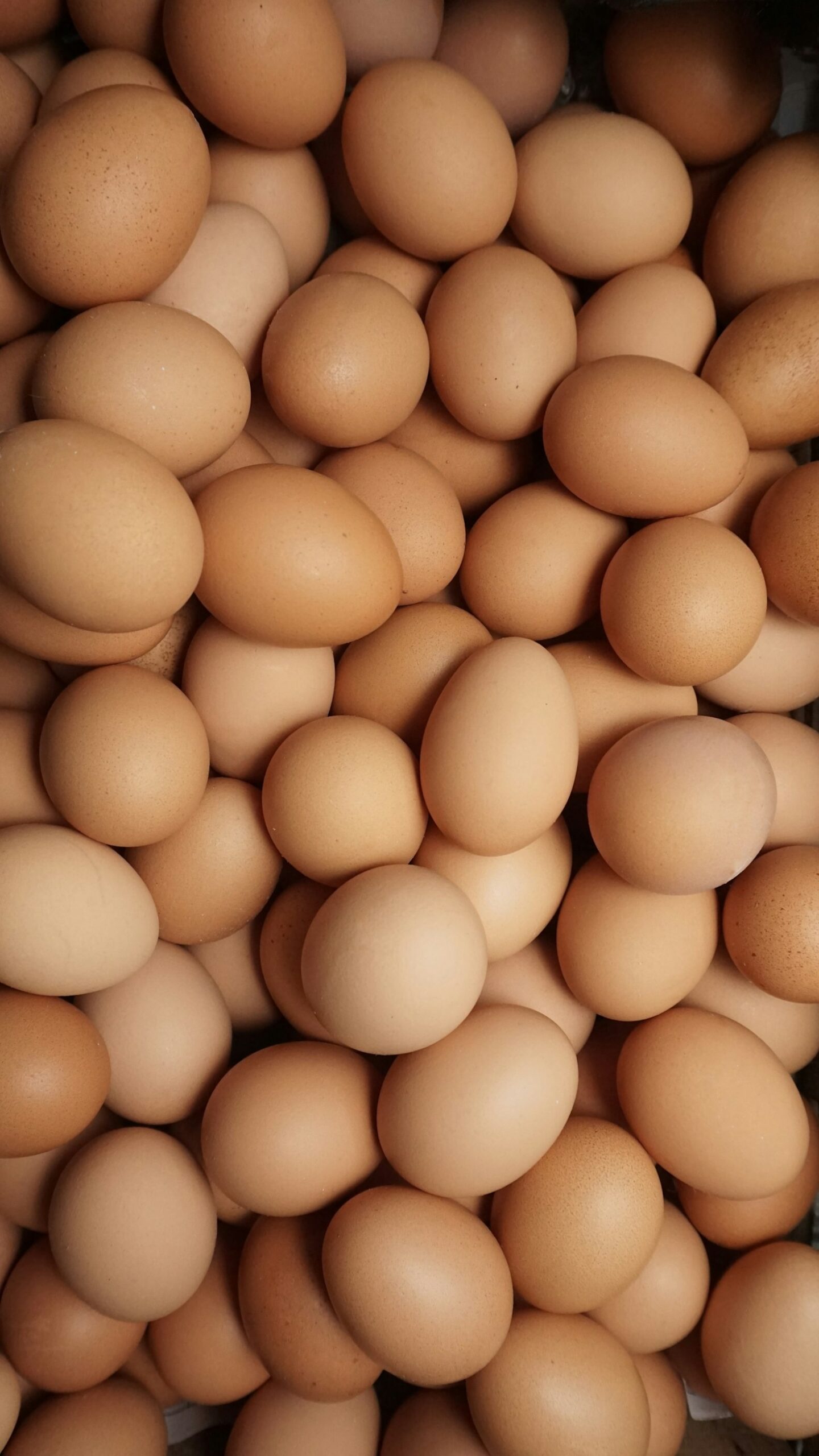 Bolu’nun Doğasından Gelen Sağlıklı Yumurtalar